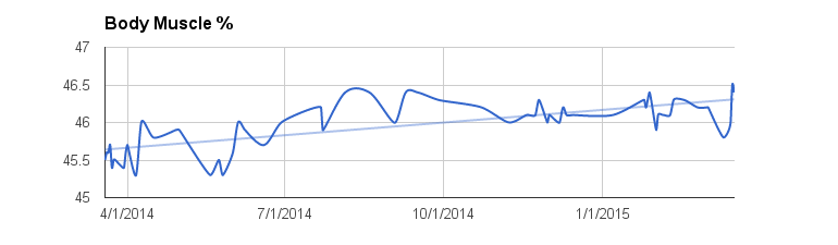 Body muscle tracking over one year with trendline