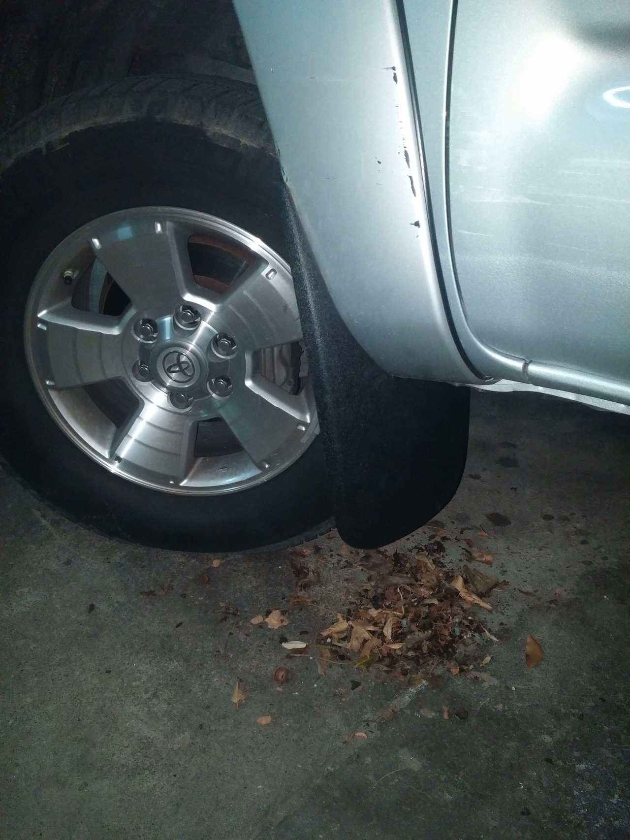 Completed mudflap installation - vroom vroom